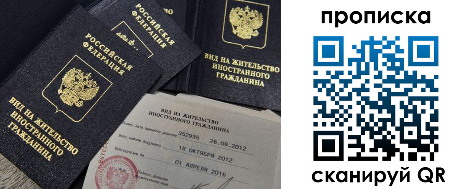 прописка в Дорогобуже